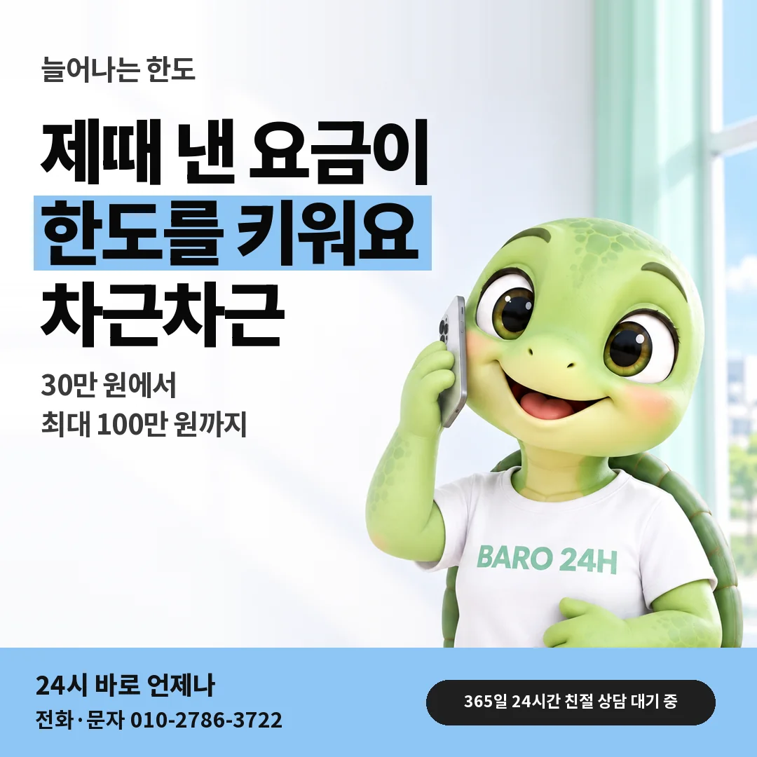 BARO 24H 티셔츠를 입은 3D 거북이 캐릭터 옆에 「미납 없이 늘어나는 한도」 제목을 얹은 안내 카드